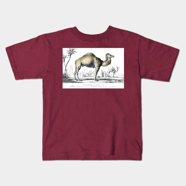 The Camel Kids T-Shirt by PDTees